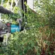 Акумулаторен храсторез Makita UH006GZ/ 40V/ XGT