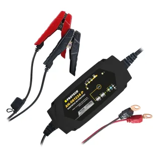 Зарядно за акумулатори PROTECO 5108AN061224P/ 12V/ 24V