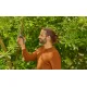 Ножица Gardena PremiumCut Pro Fresh Wood