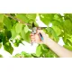 Алуминиева градинска ножица Gardena Comfort B/L