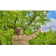 Ножица за клони Gardena EasyCut L/ 45 мм