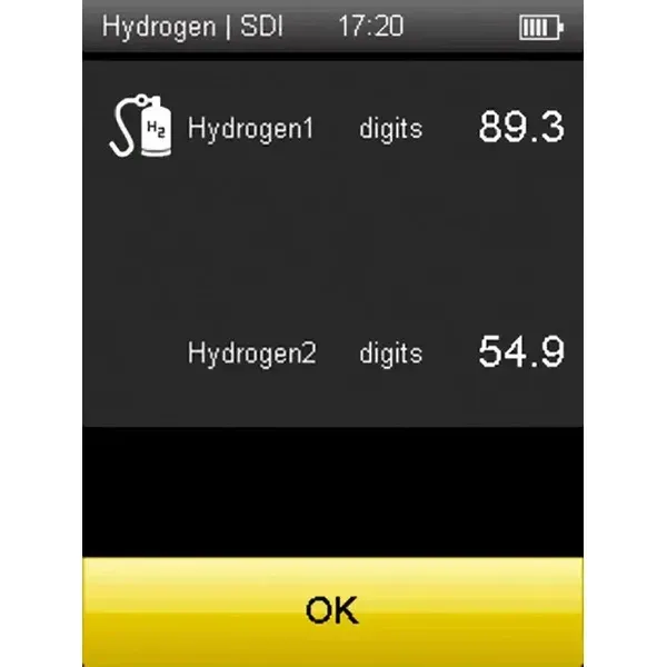 Сензор за откриване на изтичане на водород Trotec TS810 SDI